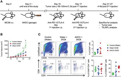 AHCC®, a Standardized Extract of Cultured Lentinula Edodes Mycelia, Promotes the Anti-Tumor Effect of Dual Immune Checkpoint Blockade Effect in Murine Colon Cancer